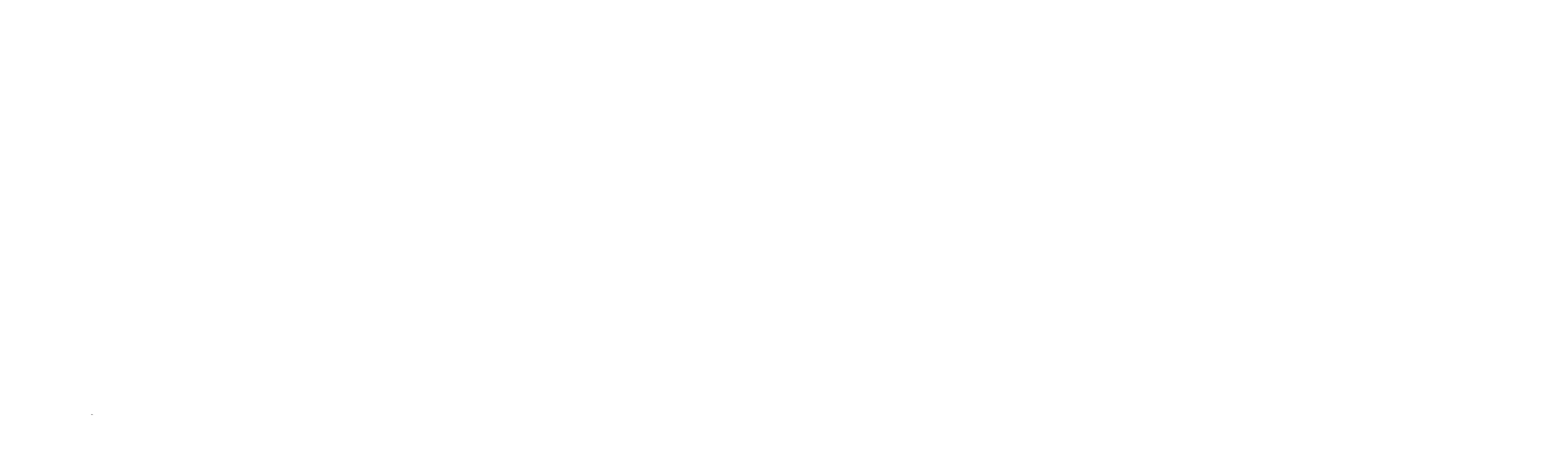 Custom Security Systems Inc